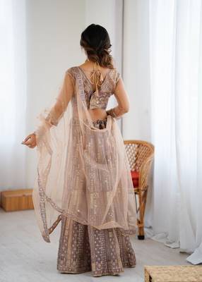 Beige Butterfly Net Embroidery And Sequins Work Lehenga choli 5
