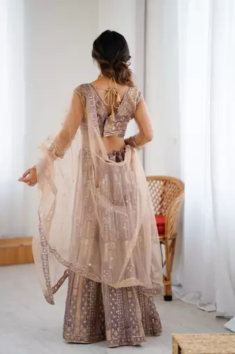 Beige Butterfly Net Embroidery And Sequins Work Lehenga choli