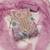Lavender viscose organza handwork unstitched dress material