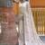 Cream Color Soft Silk Blend Floral Thread Work Saree