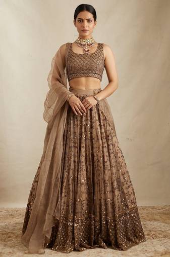 Brown Net Zari sequin Embroidery Work Lehenga Choli With Dupatta
