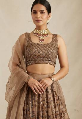 Brown Net Zari sequin Embroidery Work Lehenga Choli With Dupatta 2