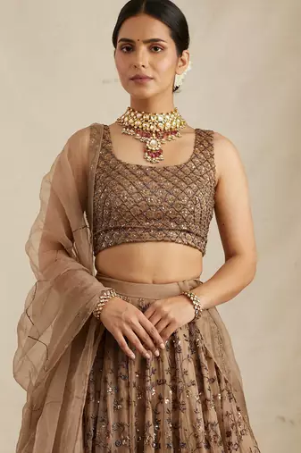 Brown Net Zari sequin Embroidery Work Lehenga Choli With Dupatta