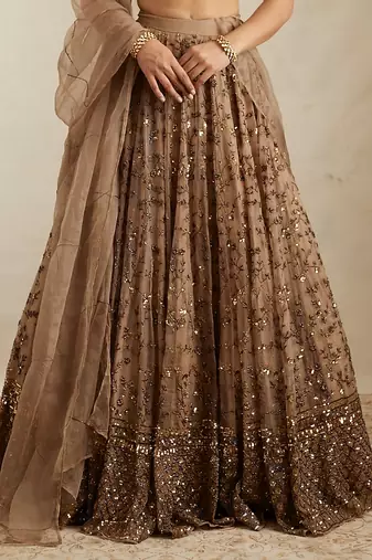 Brown Net Zari sequin Embroidery Work Lehenga Choli With Dupatta