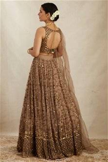 Brown Net Zari sequin Embroidery Work Lehenga Choli With Dupatta 4