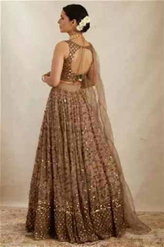 Brown Net Zari sequin Embroidery Work Lehenga Choli With Dupatta