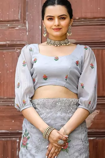 Grey Color Pure Shiny Chiffon Embroidered Saree 