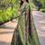 Mehndi Green  Kanchipuram silk blend Saree 