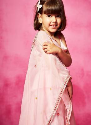Pink embroidered organza lehenga set 2
