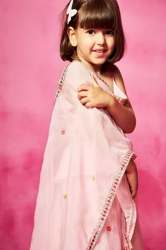 Pink embroidered organza lehenga set