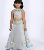 Grey embroidered cotton silk lehenga