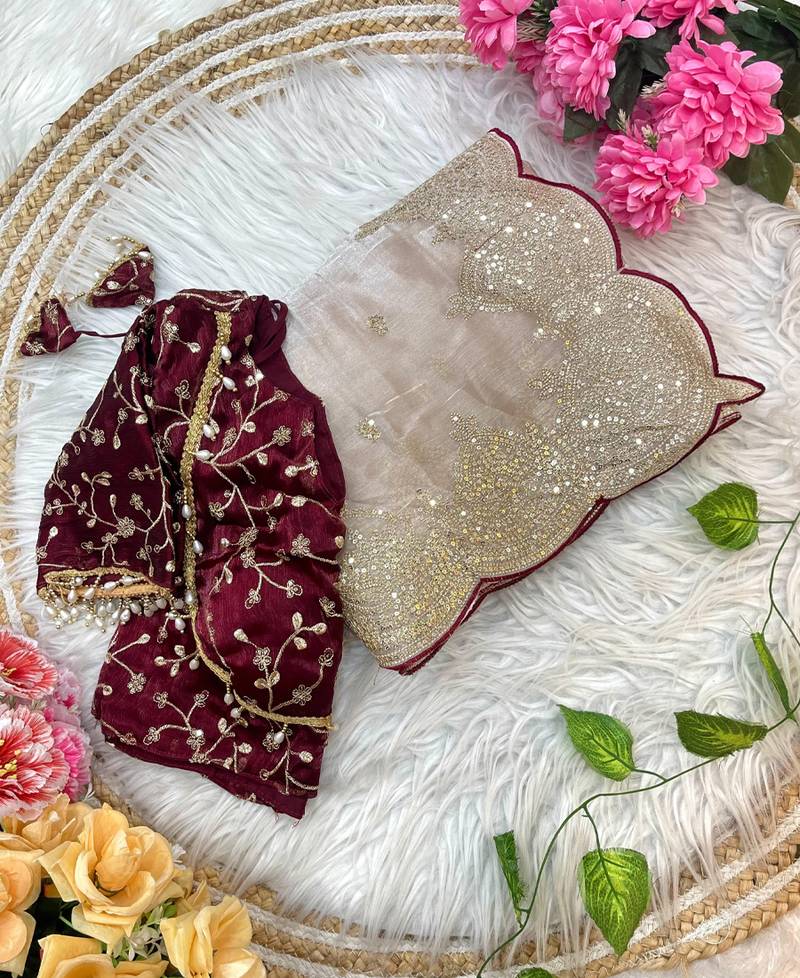 beige chiffon saree with embroidered  stitched blouse