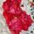 red foral printed chiffon saree with hand work with stitched blouse