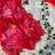 red foral printed chiffon saree with hand work with stitched blouse