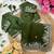green satin silk blend embroidered saree with stitched blouse