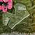 green satin silk blend embroidered saree with stitched blouse