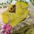 ombre pattern tebby silk blend embroidered saree with stitched blouse