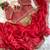jimmi choo red heavy embroidered saree with stitched blouse