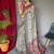 Multi Cotton Printed Kalamkari Pattern Saree