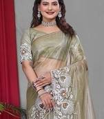 Olive Color Twill Net Multi Color Embroidery Work Saree