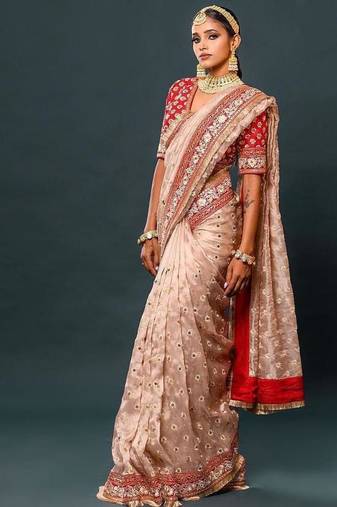 Light Chiku Thread And Zari Coding Work Organza Silk Saree