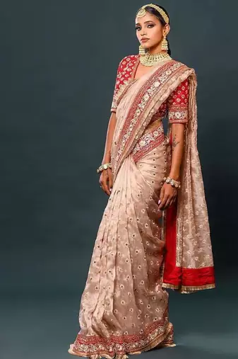 Light Chiku Thread And Zari Coding Work Organza Silk Saree