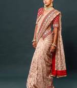 Light Chiku Thread And Zari Coding Work Organza Silk Saree