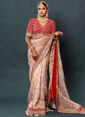 Light Chiku Thread And Zari Coding Work Organza Silk Saree 2