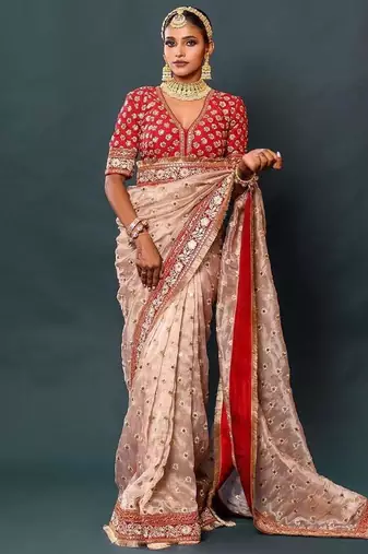 Light Chiku Thread And Zari Coding Work Organza Silk Saree
