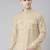 Beige pathani kurta pajama
