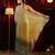 Olive green ombre beads and stones saree