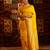 Mustard women ethnic motifs zari banarasi saree