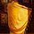Mustard women ethnic motifs zari banarasi saree