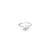 Classic silver lining nose pin