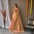 Light Pink Shimmering Tissue silk blend Saree 