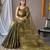 Olive Green Shimmering Tissue silk blend Saree 