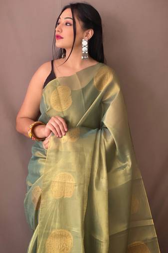 Light Green Shimmering Tissue silk blend Saree 