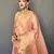 Pink Shining Tissue silk blend Saree 