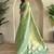 Pista Green Shining Tissue silk blend Saree
