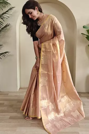 Pink Shining Tissue silk blend Saree