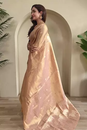 Pink Shining Tissue silk blend Saree
