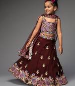 Maroon embroidered organza lehenga set