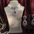 Silver plated ruby Pearl necklace set