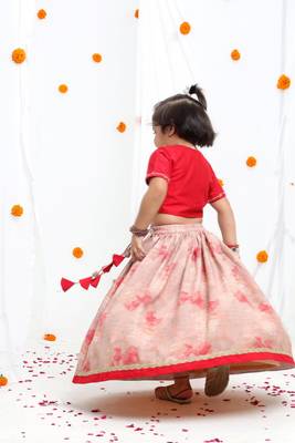 Redish hand embroidered blouse with beidge geometrical printed ghagara set  for girls 3