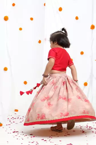 Redish hand embroidered blouse with beidge geometrical printed ghagara set  for girls
