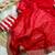 Red sequin Work Embroidered Border Silk blend Saree