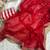 Red sequin Work Embroidered Border Silk blend Saree