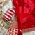 Red sequin Work Embroidered Border Silk blend Saree