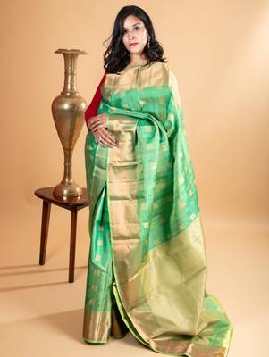 Dual tone green silk saree with silk mark certified 1