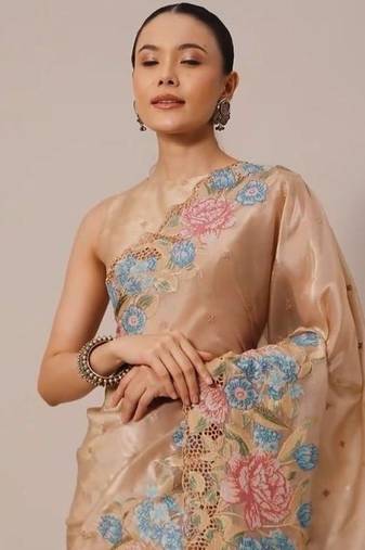 Chiku Thread Embroidery Cutwork Borders Jimmy Choo Tissue Saree